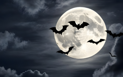 Scary Stories from The Dark Side of Archival